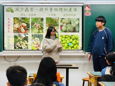 圖片