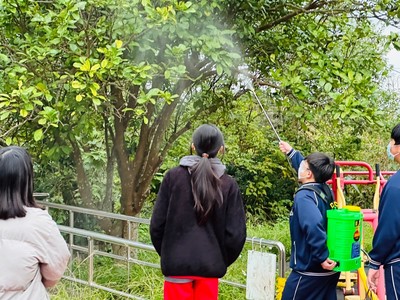 圖片