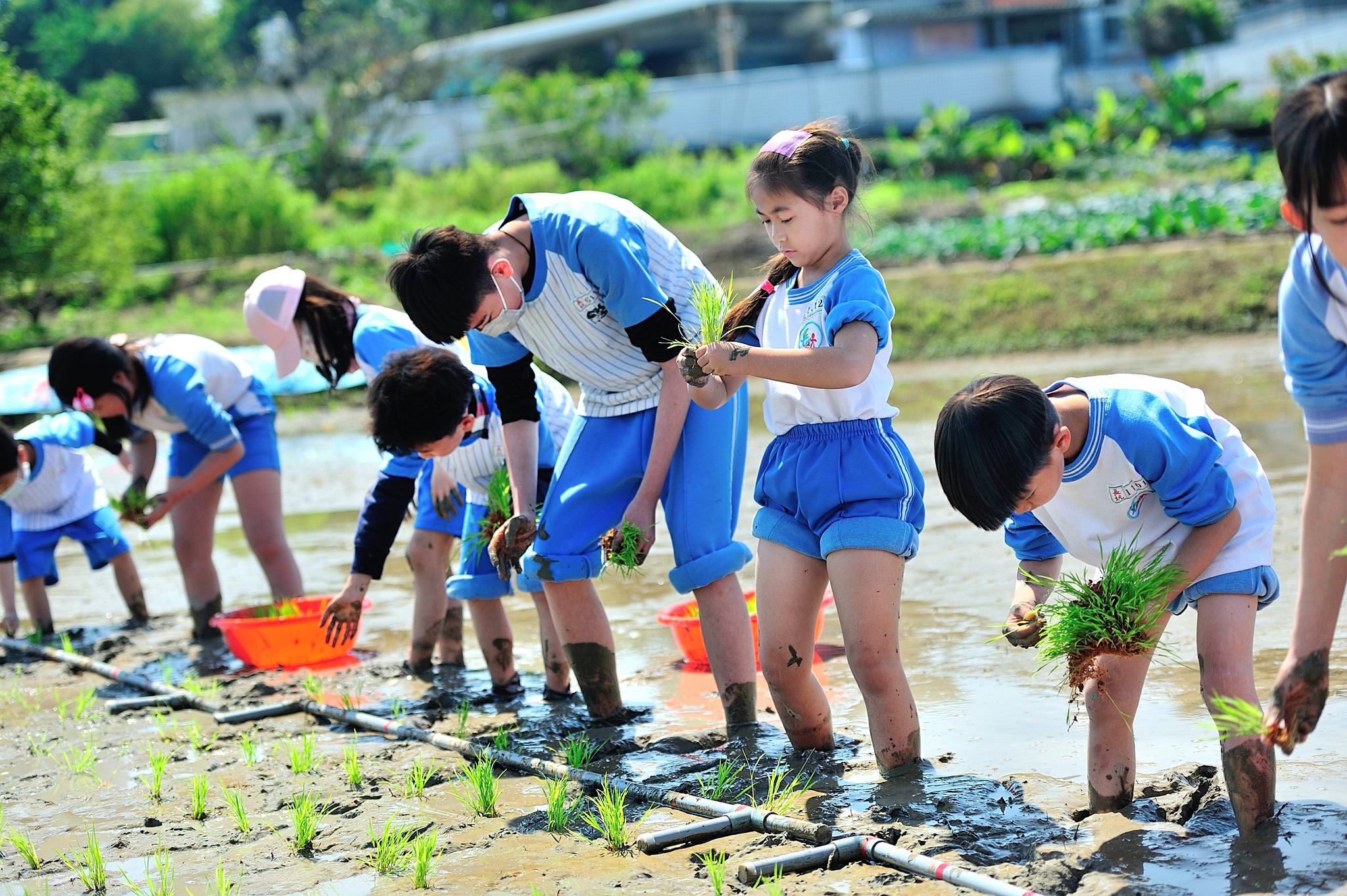 校慶運動會活動